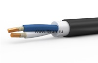 ППГнг(А)-FRHF 2х2.5  ок-0.66